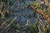 Státní pozemkový úřad realizuje vládní koncepci boje se suchem