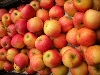 Povolen vývoz jablek do Indie